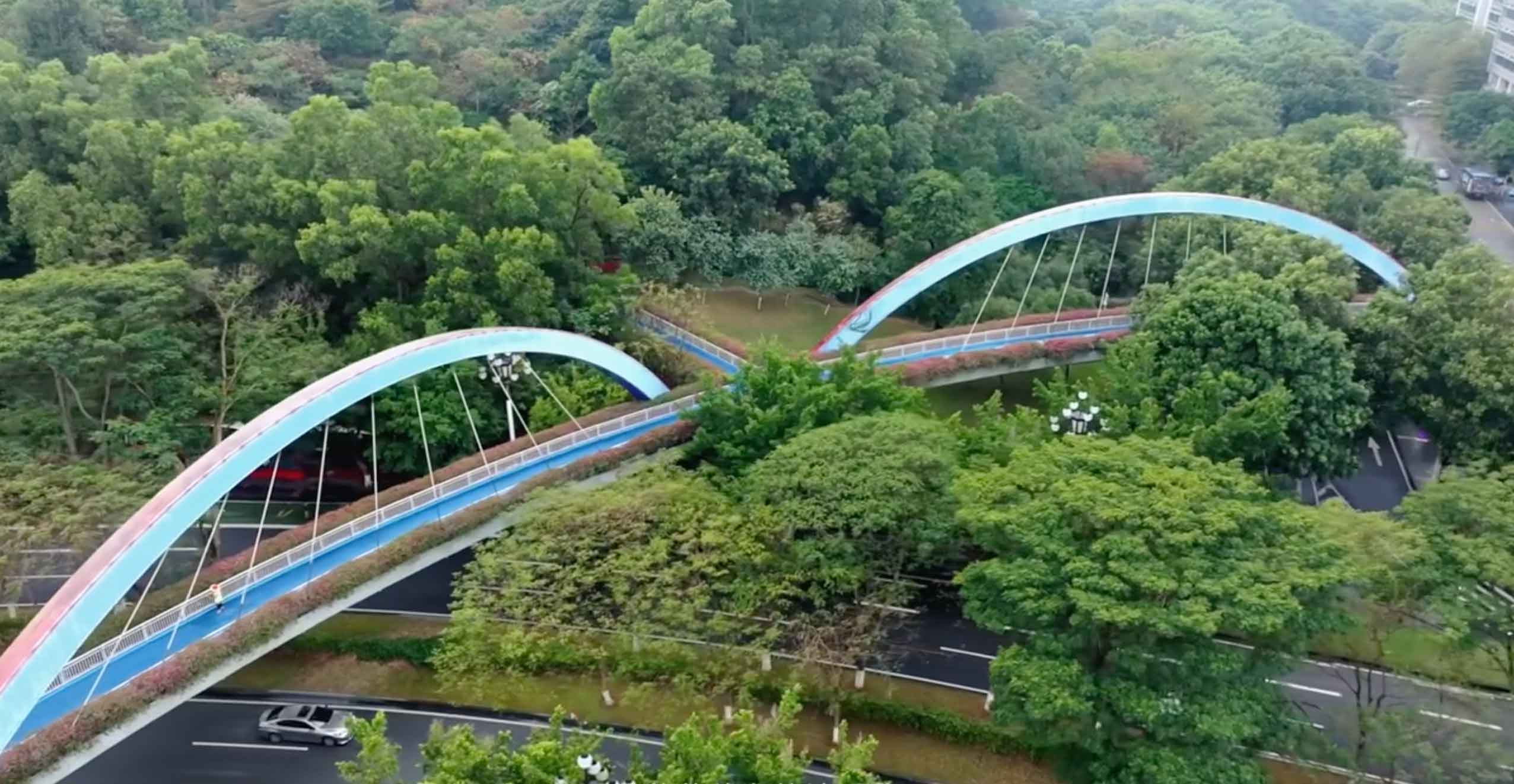 信航说桥梁-广州